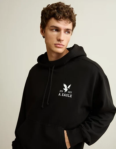 AE Lightweight Logo Fleece Hoodie