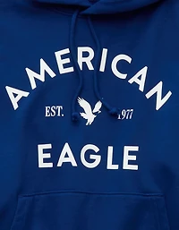 AE Lightweight Graphic Hoodie