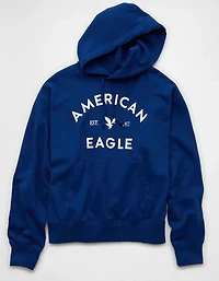 Chandail à capuchon graphique léger AE