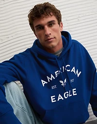 Chandail à capuchon avec graphique AE