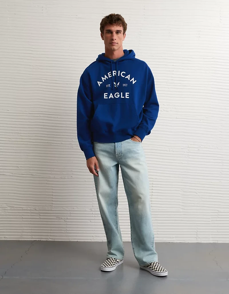 Chandail à capuchon avec graphique AE