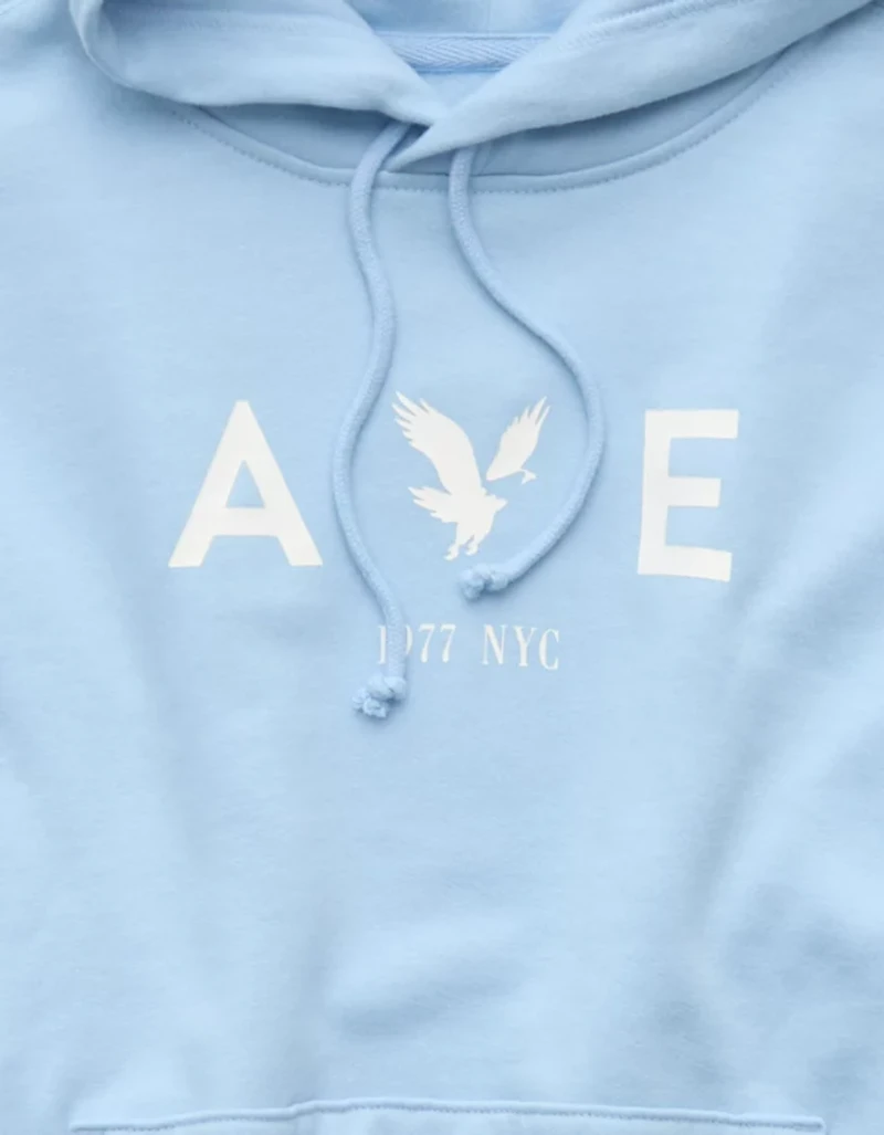 AE Graphic Hoodie