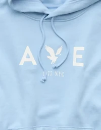 AE Graphic Hoodie