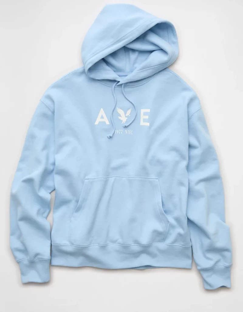 AE Graphic Hoodie