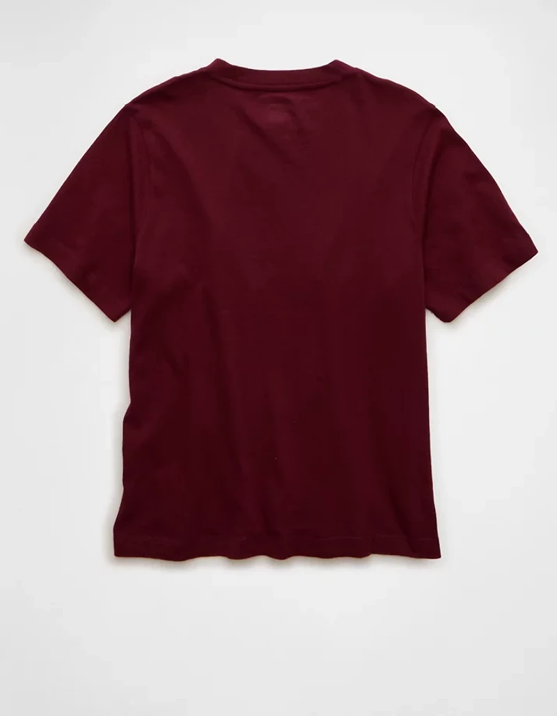 AE Velvet Graphic T-Shirt