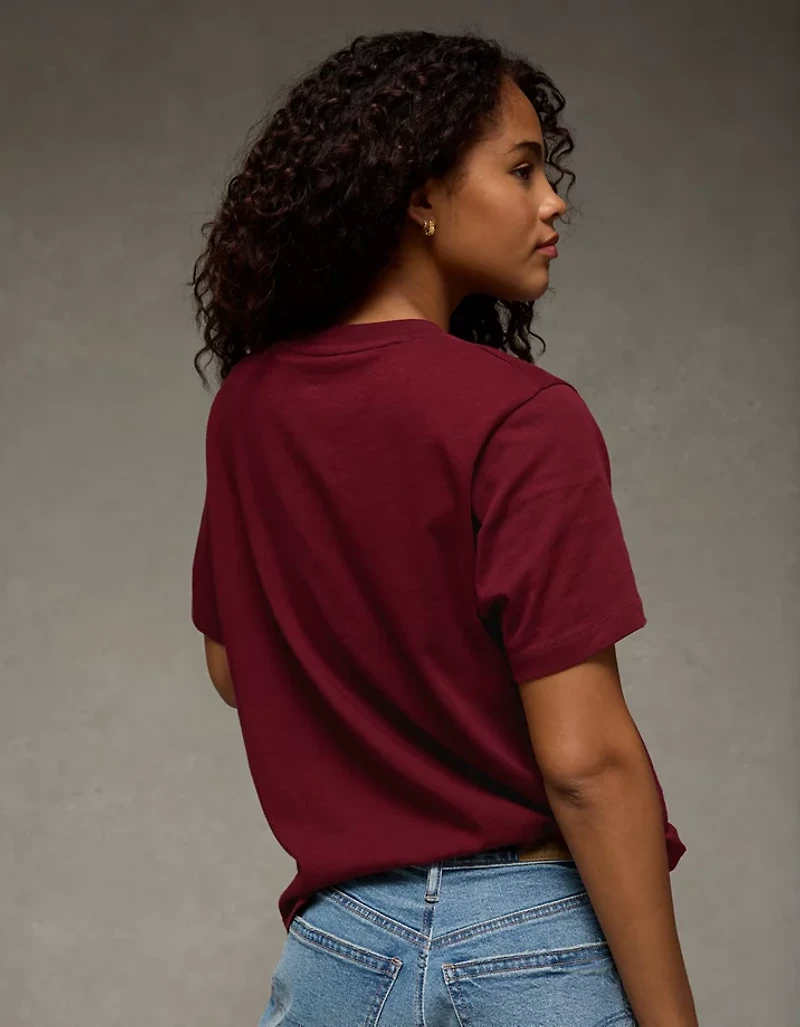 AE Velvet Graphic T-Shirt