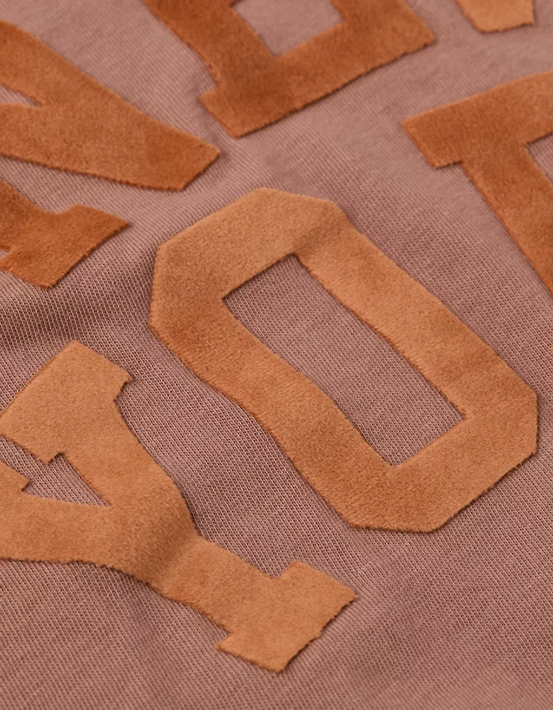 AE Velvet Graphic T-Shirt