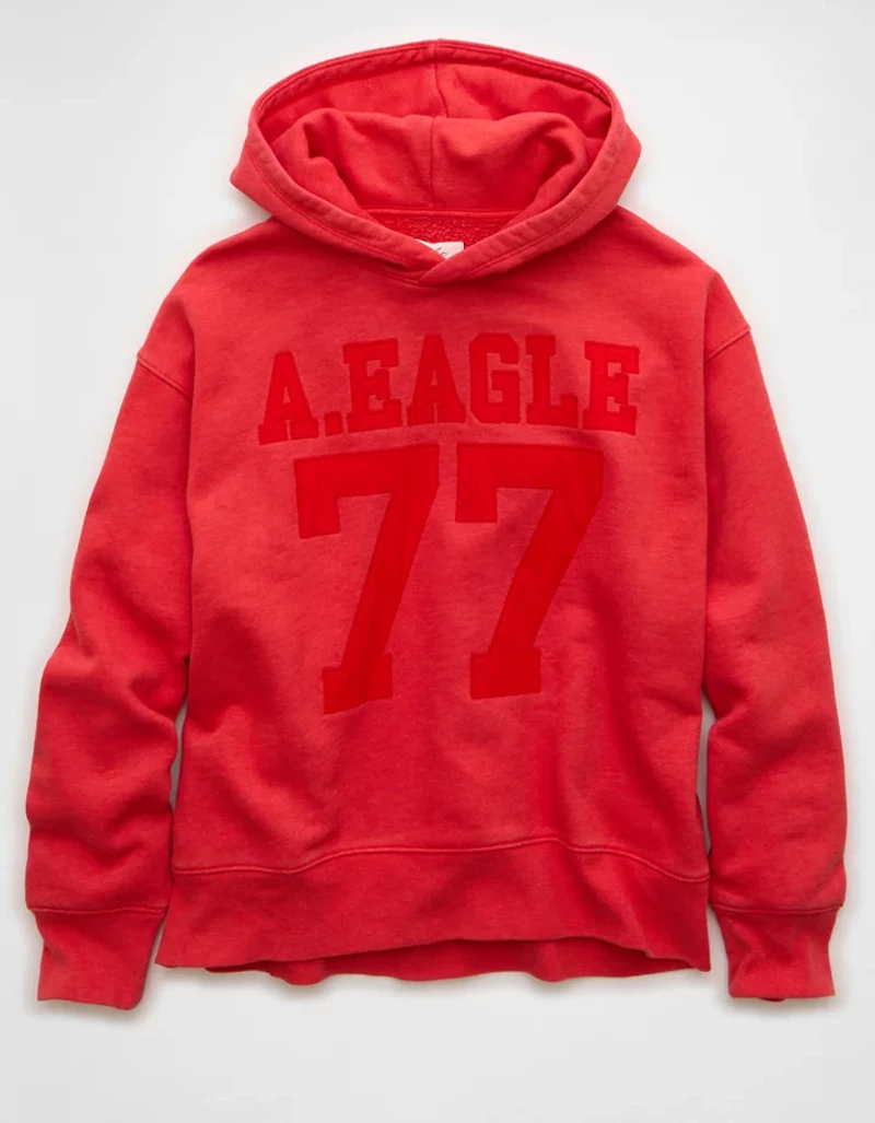 AE Everyday Luxe Graphic Hoodie