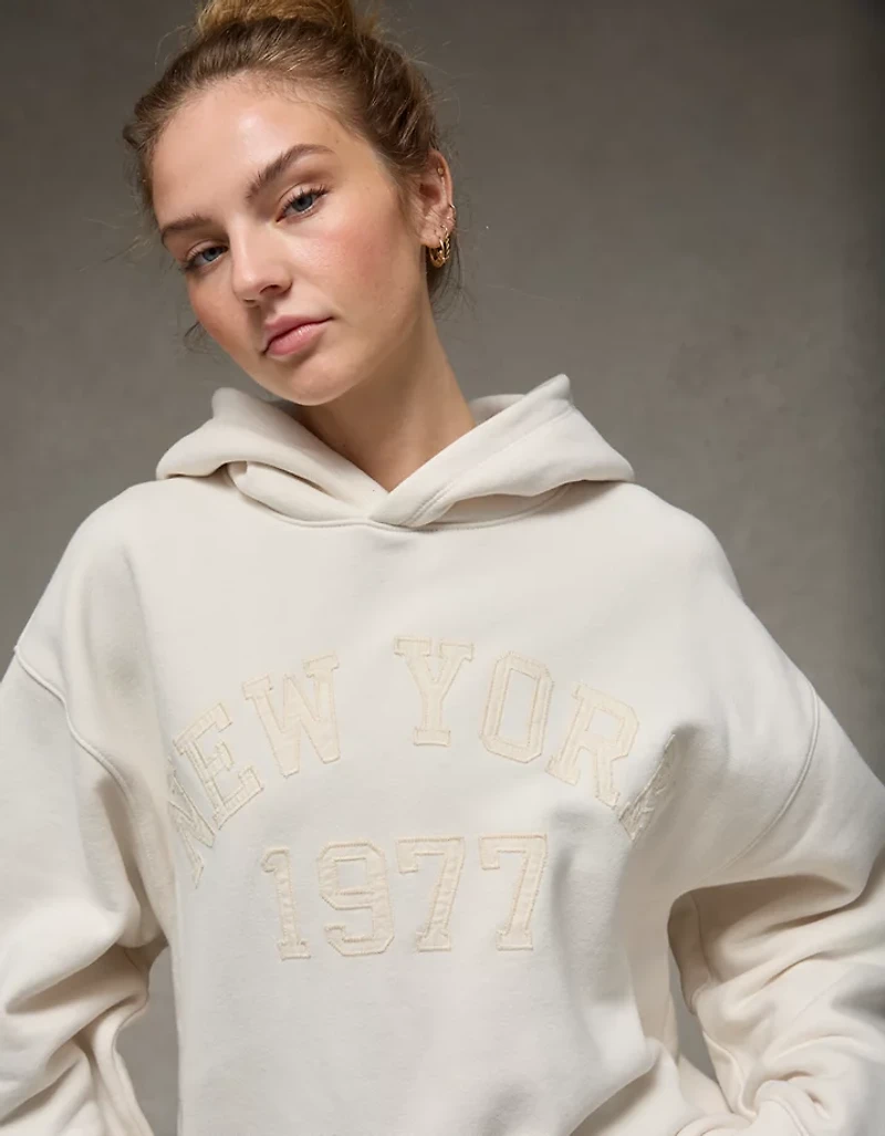 Chandail à capuchon image Luxe de tous les jours AE