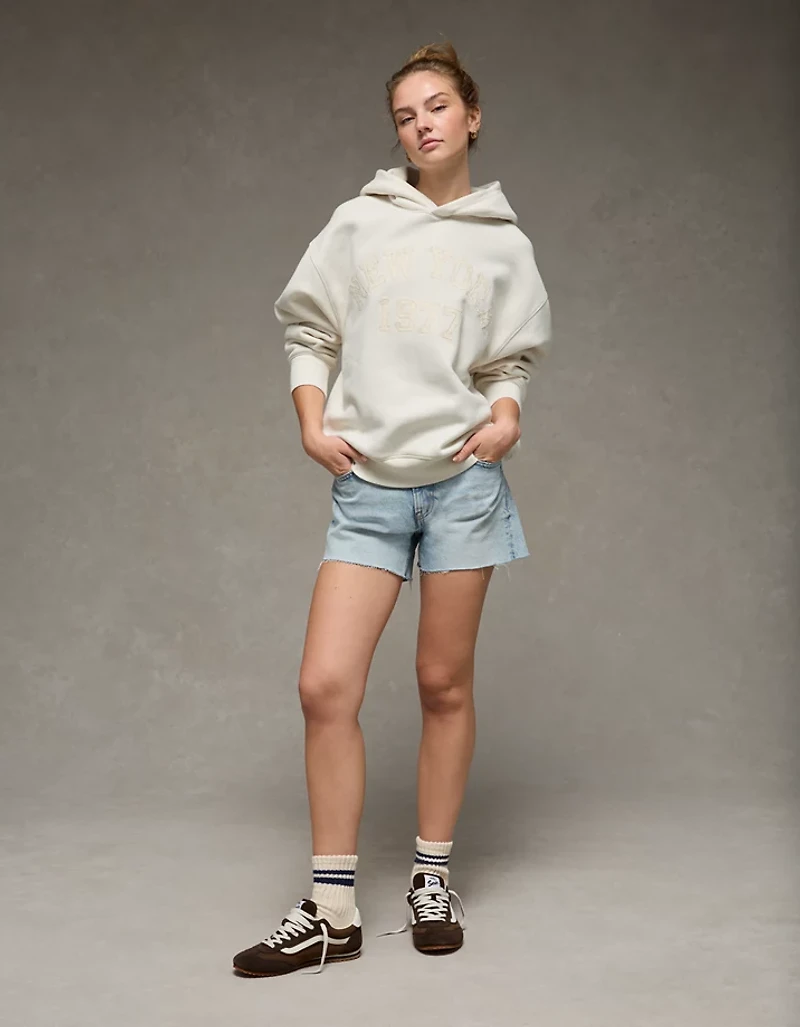 Chandail à capuchon image Luxe de tous les jours AE