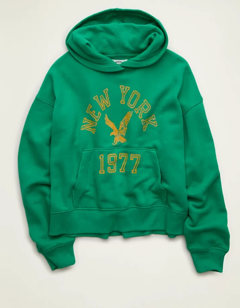 AE Campus Hoodie