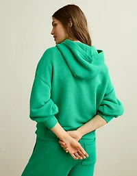 AE Campus Hoodie