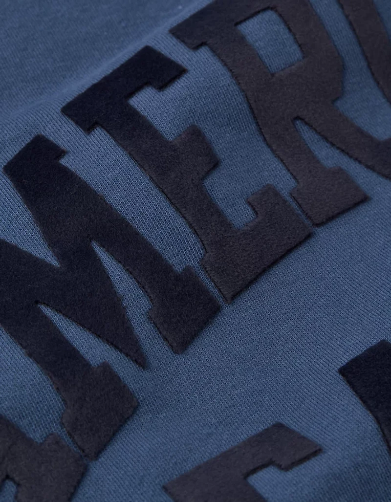 AE Velvet Graphic Crew Neck Sweatshirt