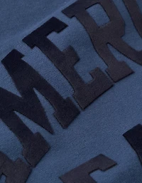 AE Velvet Graphic Crew Neck Sweatshirt