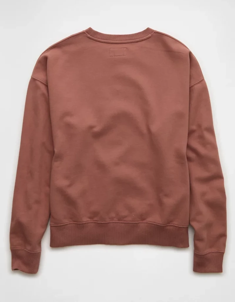 AE Velvet Graphic Crew Neck Sweatshirt