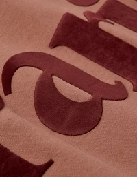 AE Velvet Graphic Crew Neck Sweatshirt