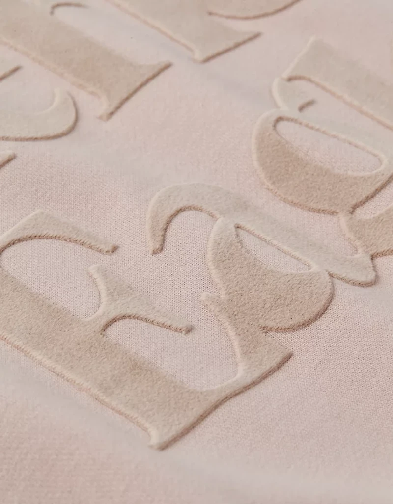 AE Velvet Graphic Crew Neck Sweatshirt