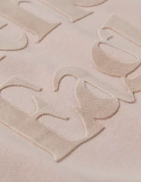 AE Velvet Graphic Crew Neck Sweatshirt