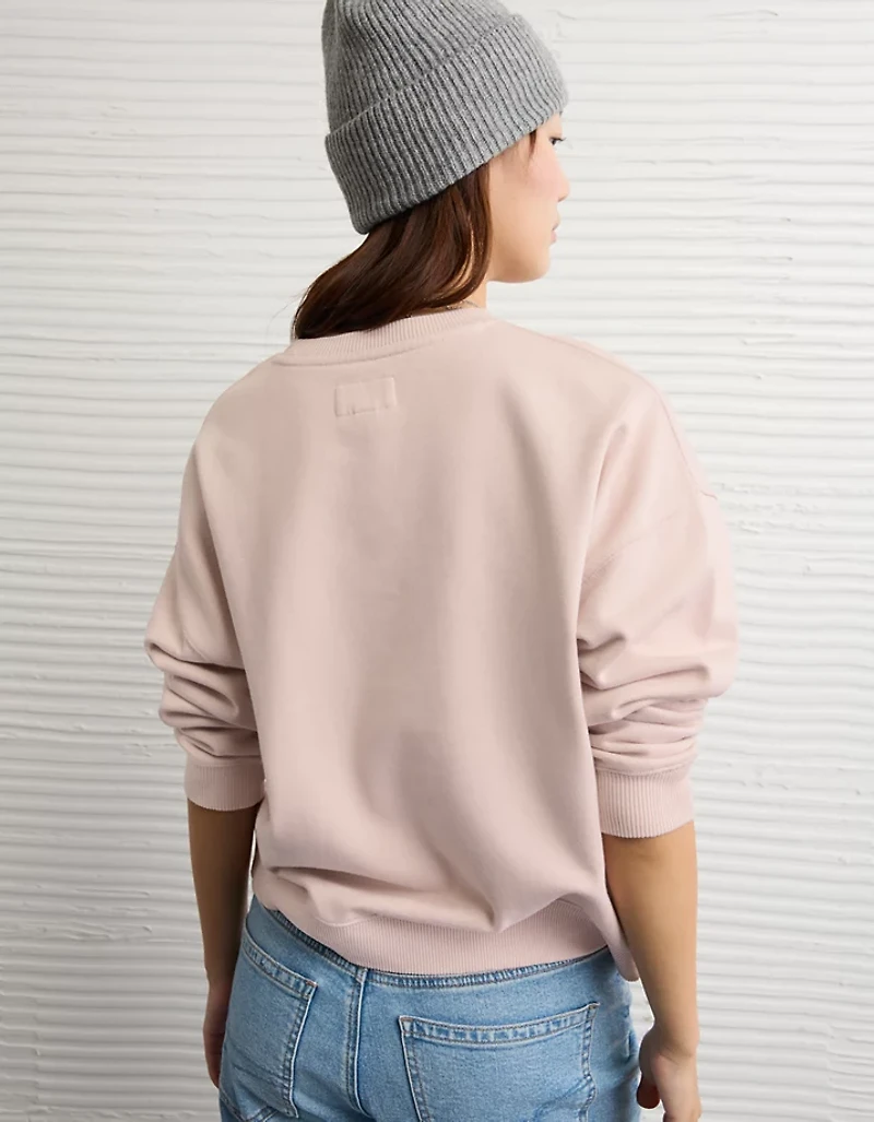 AE Velvet Graphic Crew Neck Sweatshirt