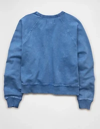 AE Cropped Raglan Sweatshirt