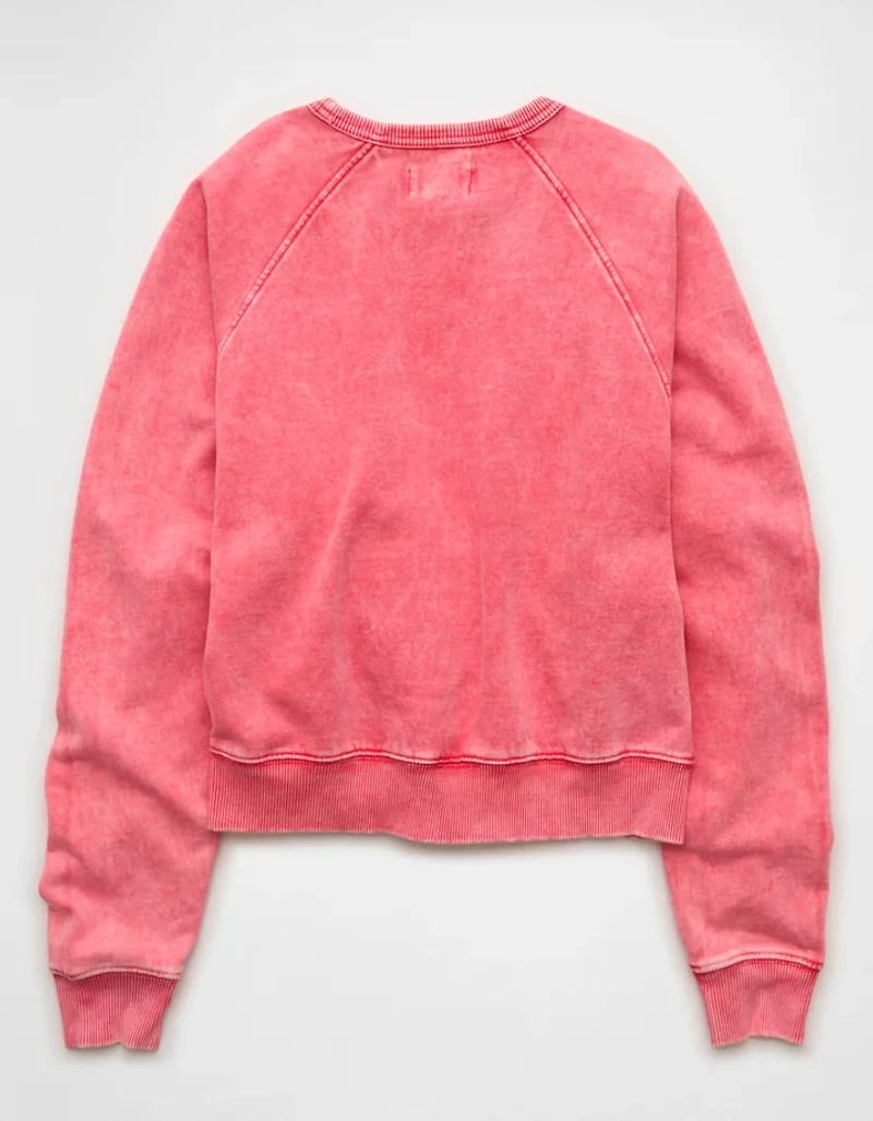 AE Cropped Raglan Sweatshirt