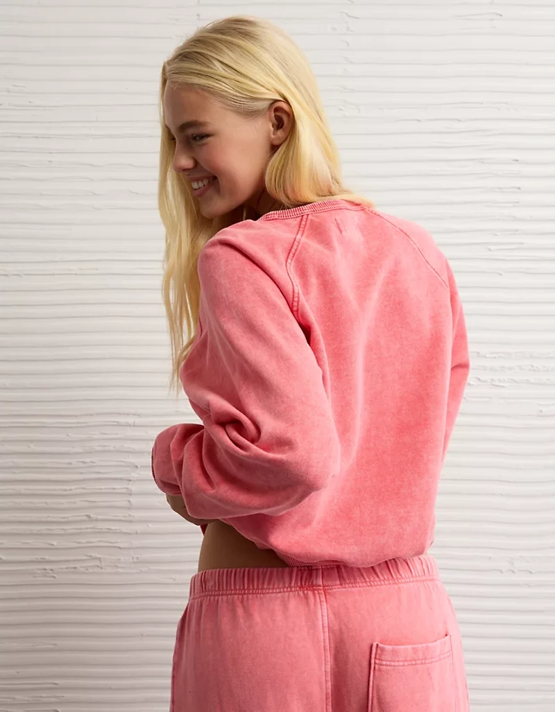 AE Cropped Raglan Sweatshirt