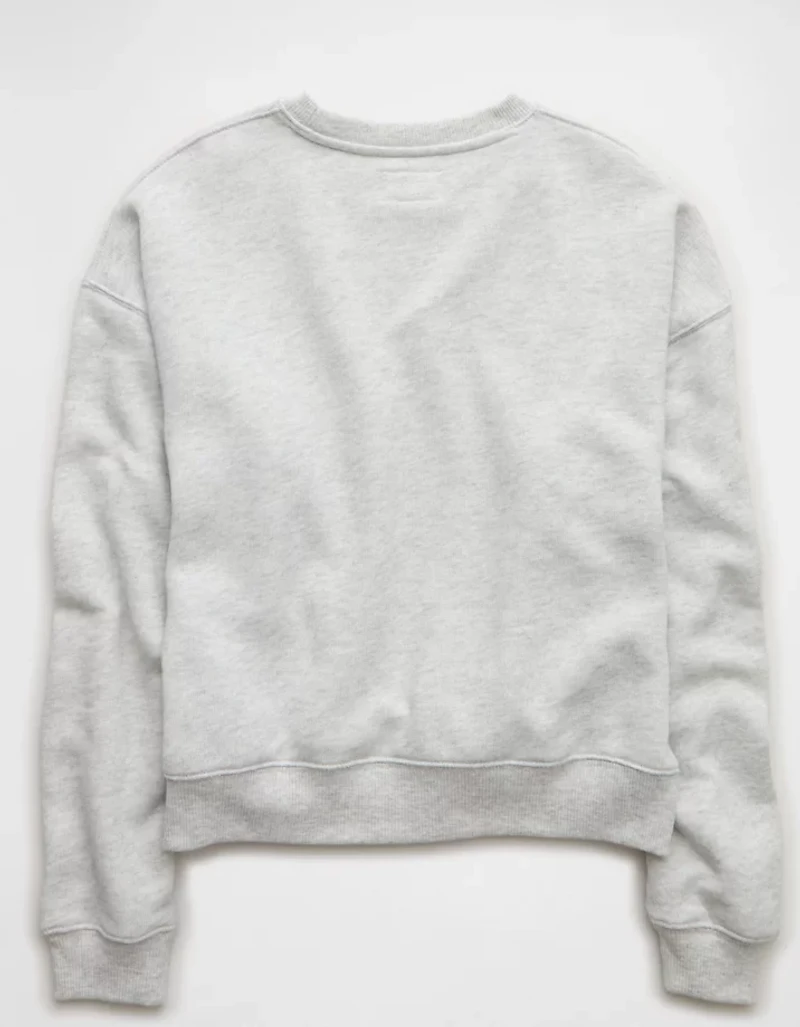 AE Relaxed Crew Neck Sweatshirt