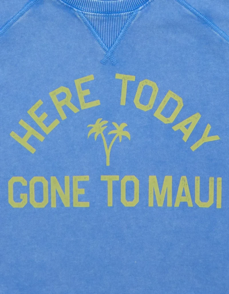 AE Cropped Cutoff Sweatshirt