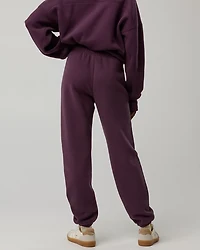 OFFLINE By Aerie Cloud Fleece Classic Jogger