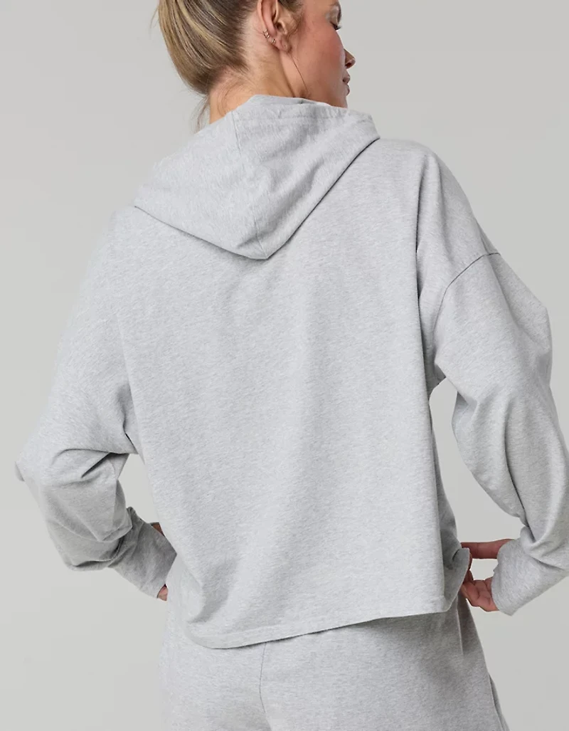 OFFLINE By Aerie OG Cotton Hoodie