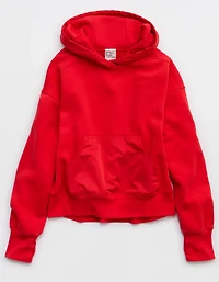 OFFLINE By Aerie Cloud Fleece Nylon Hoodie