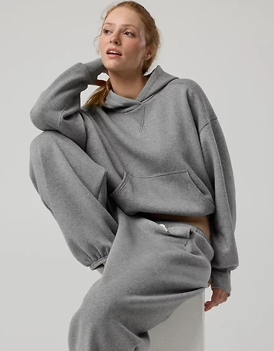 OFFLINE By Aerie Cloud Fleece Classic Length Hoodie