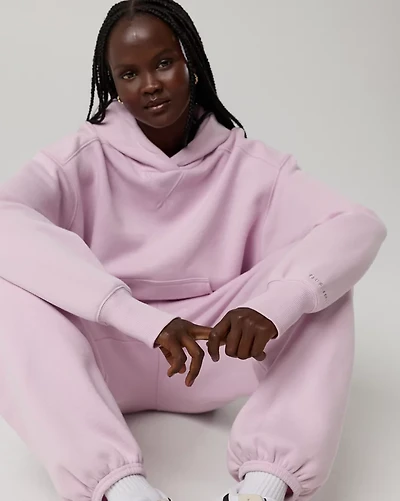 OFFLINE By Aerie Cloud Fleece Classic Length Hoodie