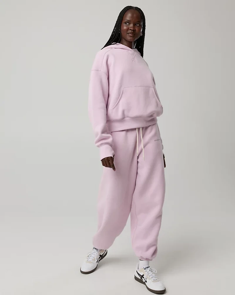 OFFLINE By Aerie Cloud Fleece Classic Length Hoodie