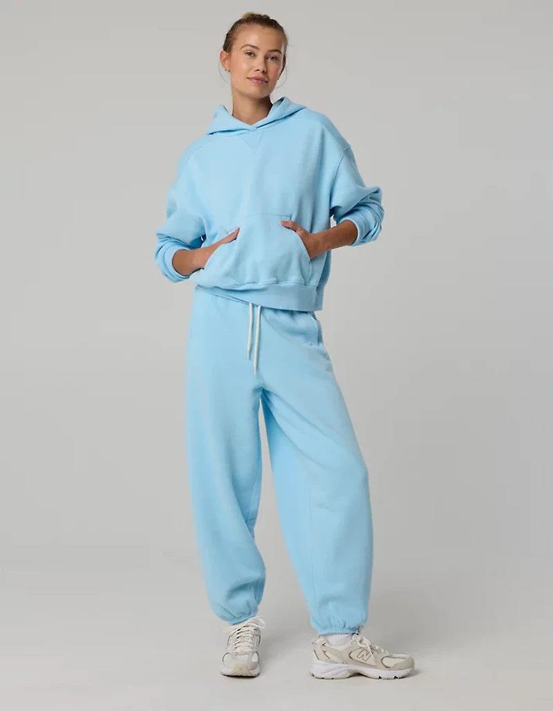 OFFLINE By Aerie Cloud Fleece Classic Length Hoodie