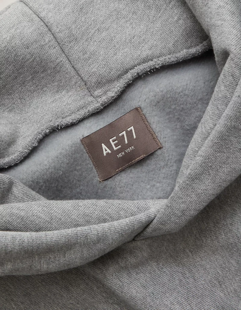 AE77 Premium Cropped Hoodie
