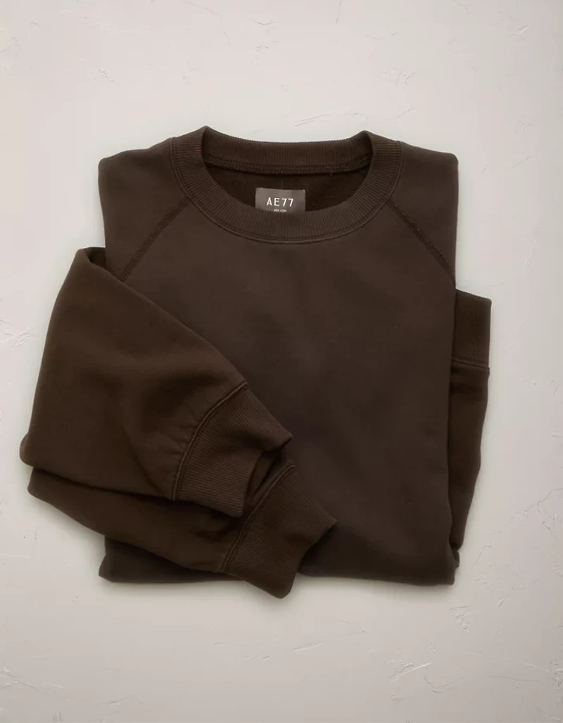 AE77 Raglan Terry Fleece Sweatshirt