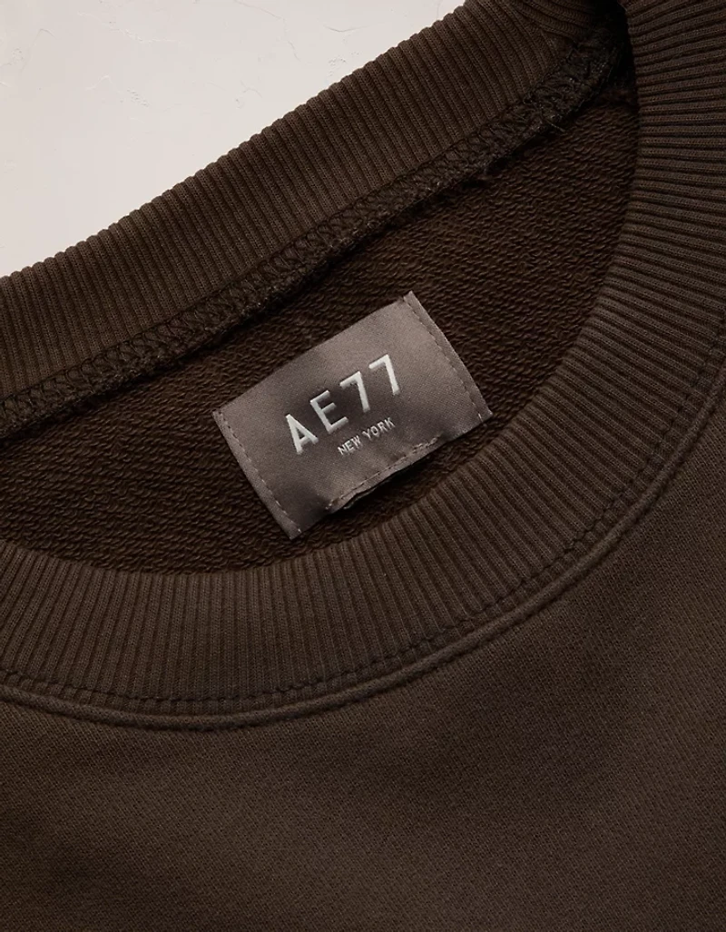 AE77 Raglan Terry Fleece Sweatshirt