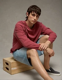 AE Boxy Long-Sleeve V-Neck T-Shirt