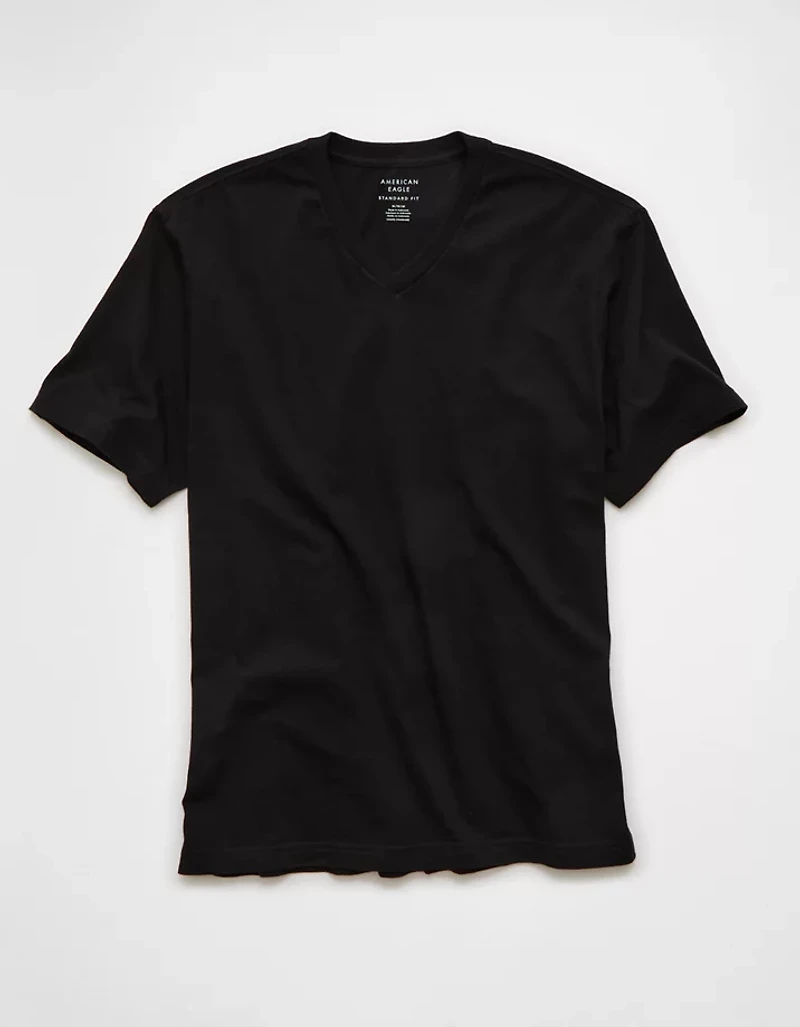 AE Lived-In V-Neck T-Shirt