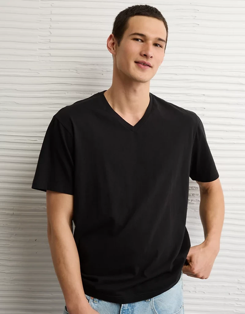 AE Lived-In V-Neck T-Shirt