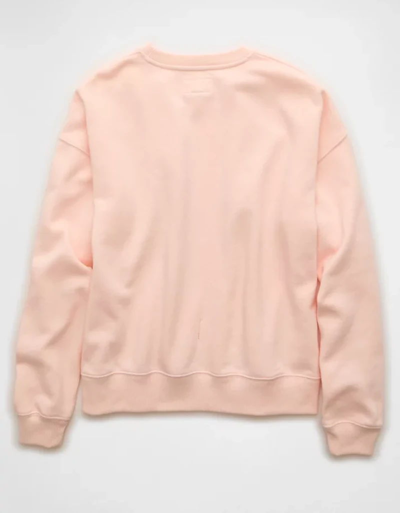 AE Funday Crew Neck Sweatshirt