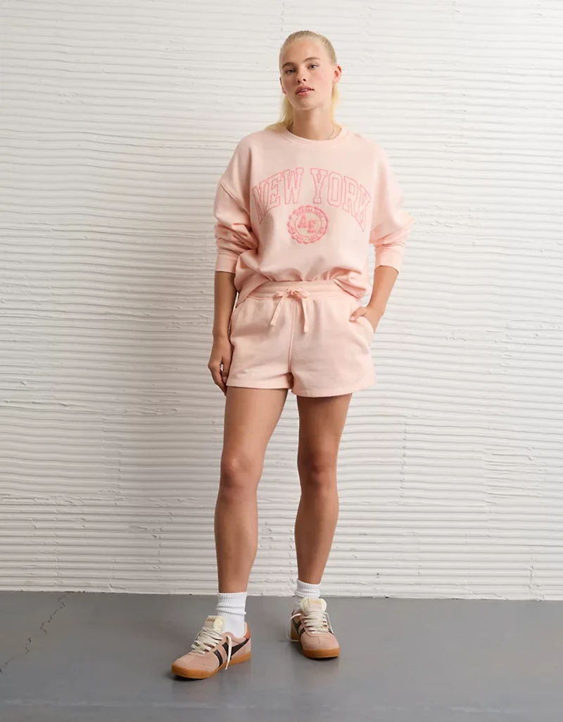 AE Funday Crew Neck Sweatshirt