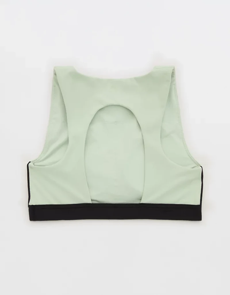 OFFLINE By Aerie The Hugger High Neck Sports Bra