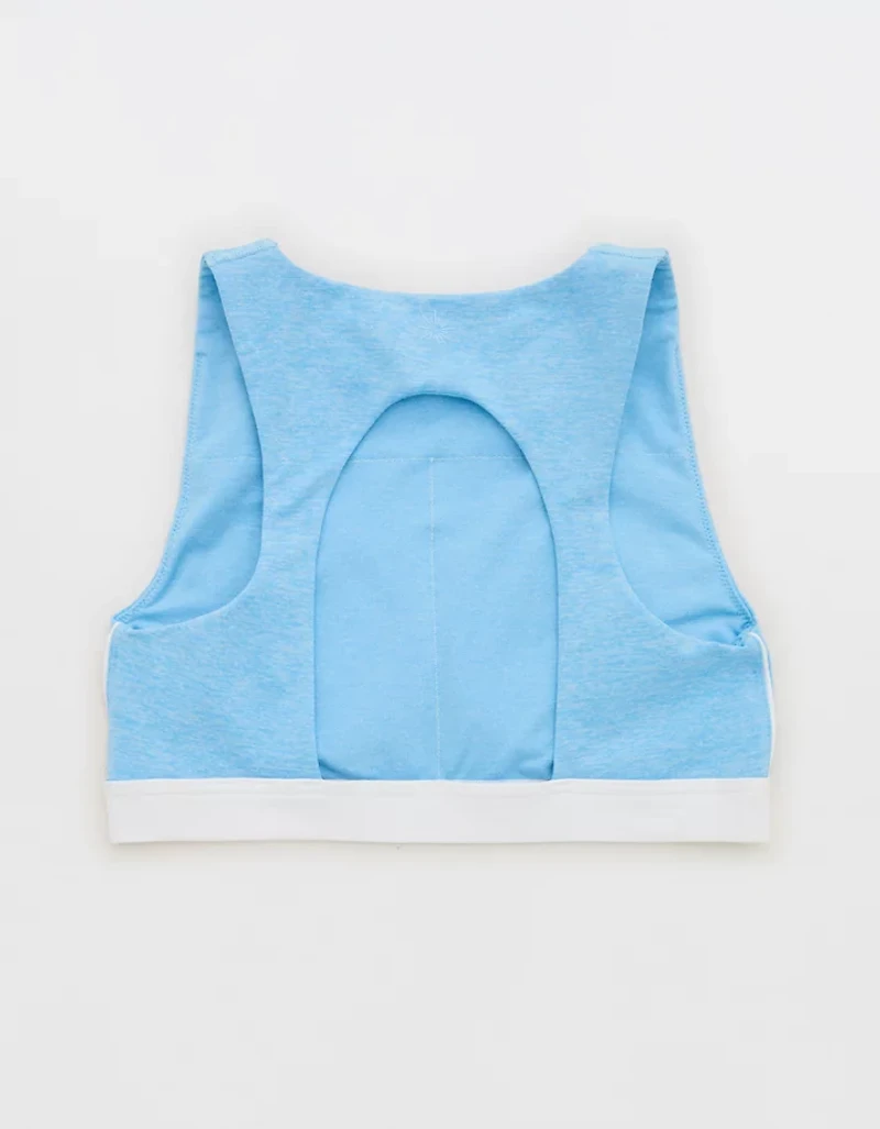 OFFLINE By Aerie The Hugger High Neck Sports Bra