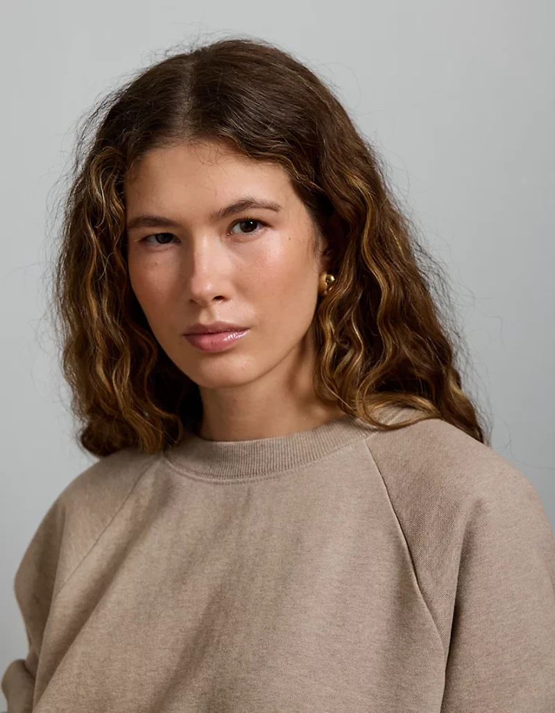 AE77 Premium Cropped Fleece Sweatshirt