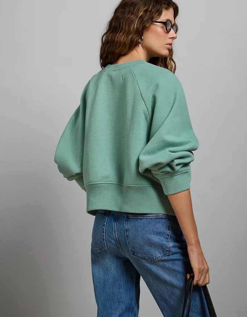 AE77 Premium Cropped Fleece Sweatshirt