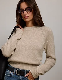 AE77 Sparkle Shrunken Crew Neck Sweater