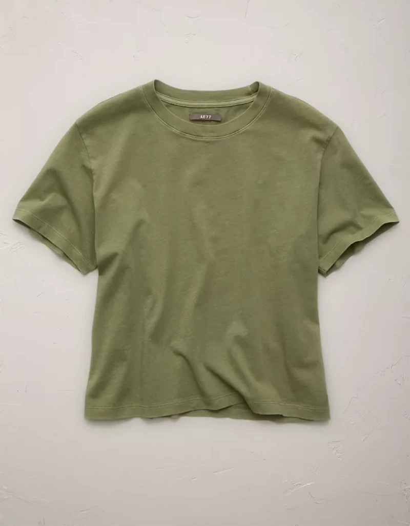 AE77 Premium Everyday T-Shirt