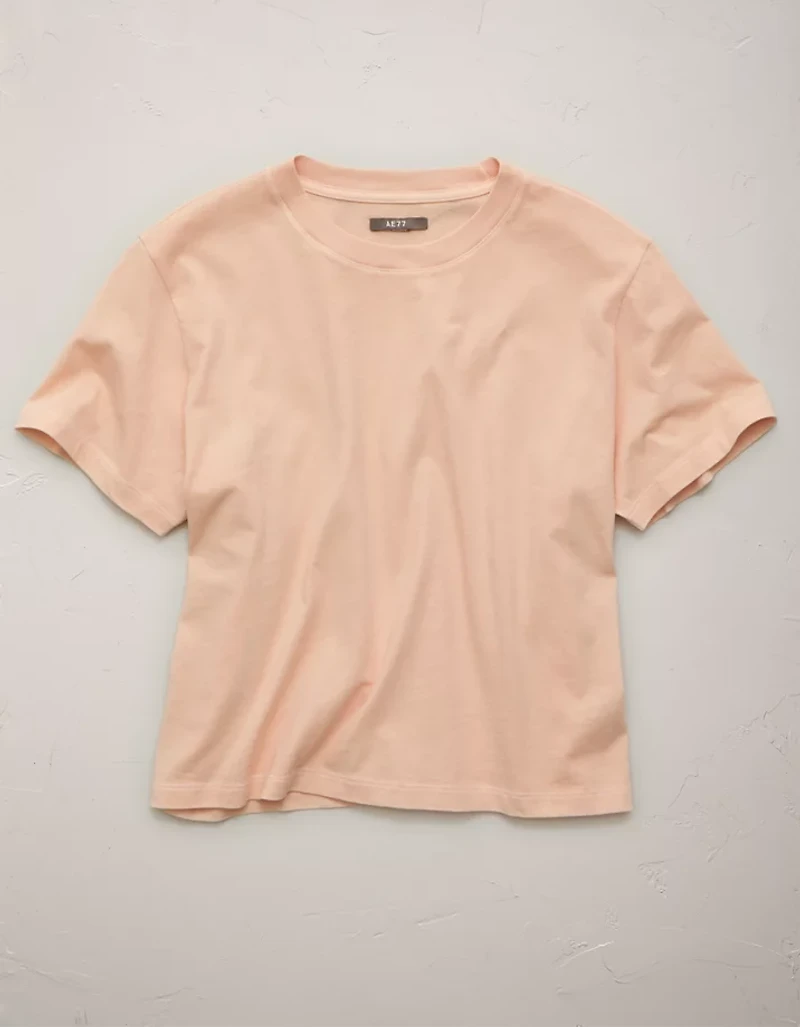 AE77 Premium Everyday T-Shirt